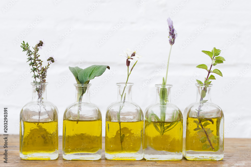 Bottle of essential oil with herbs set up on white background Bottle of essential oil with herbs set up on white background