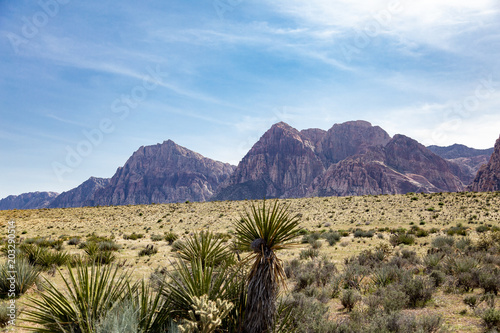 Desert