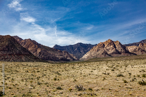 Desert