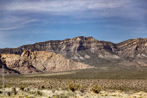 Desert