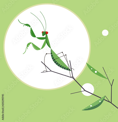 Mantis on a tree branch