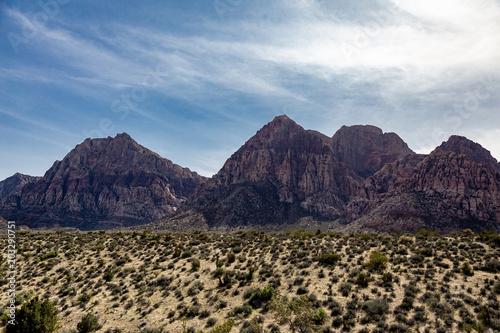 Desert