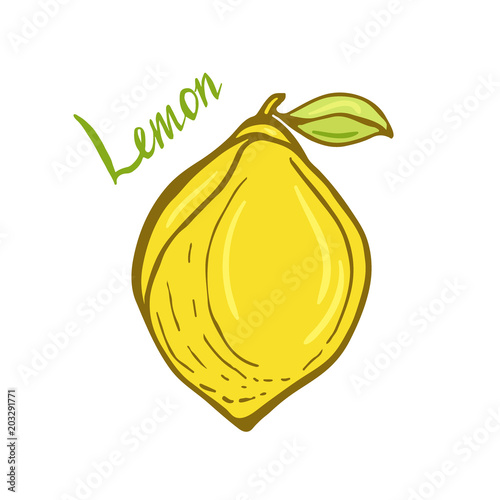 Lemon vector icon. Fruit sticker. Ingredient for cocktail recipe book.