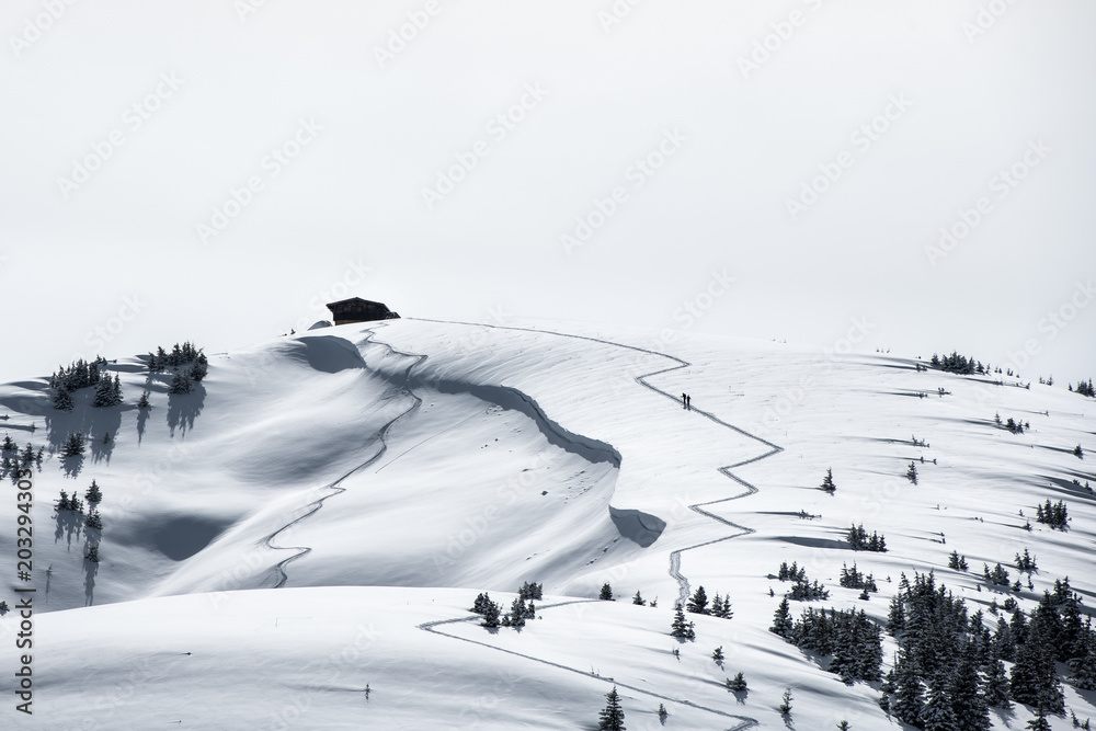 Obraz premium Isoliert