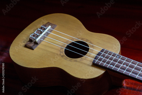 Close up ukulele old