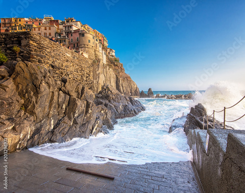 Port of Manarola with waves