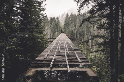 Fototapeta Opuszczony most kolejowy wśród drzew w lesie