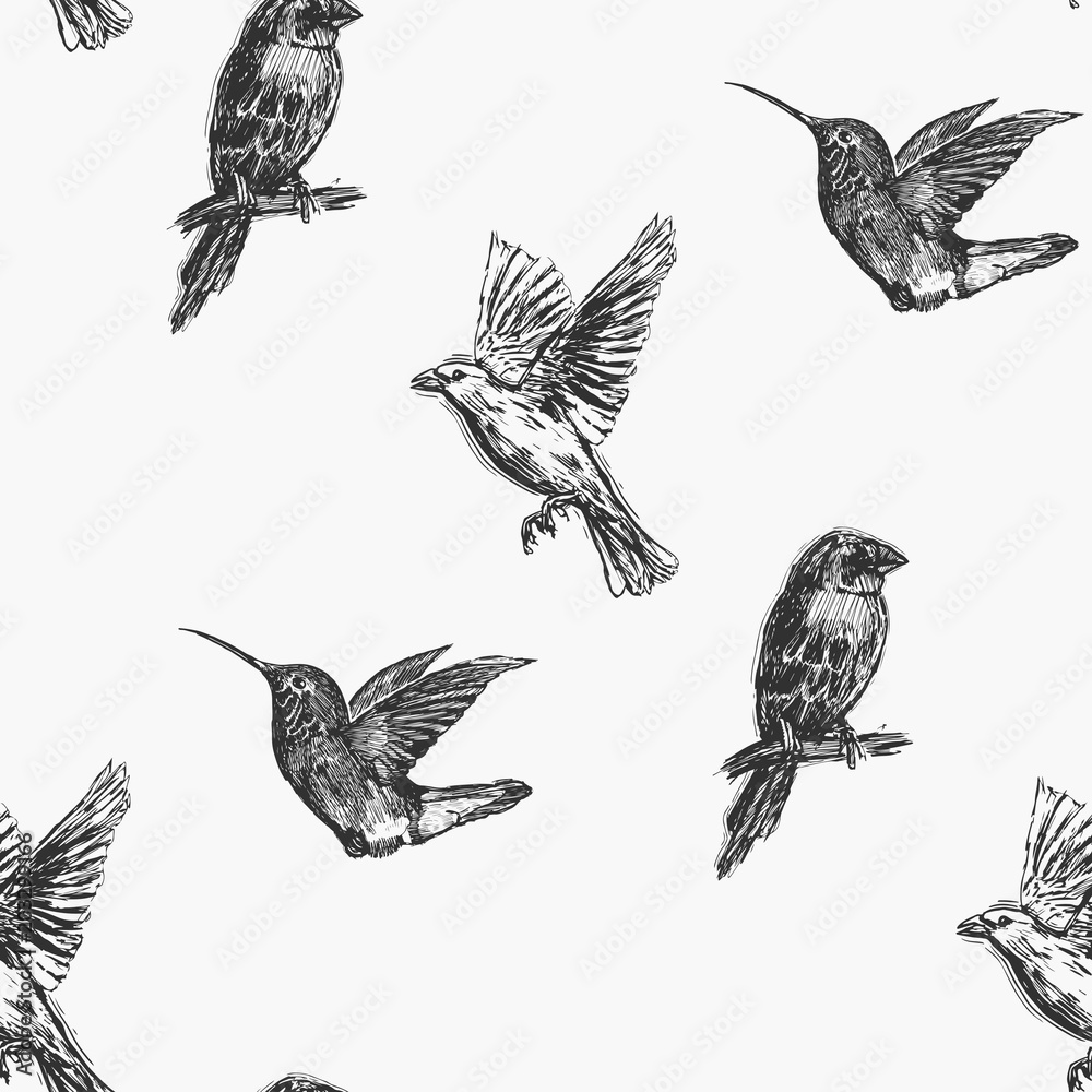 Obraz premium Hummingbird seamless pattern. Hand drawn exotic background.