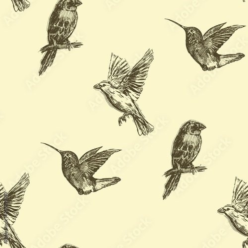 Hummingbird seamless pattern. Hand drawn exotic background. © anisimovfedor