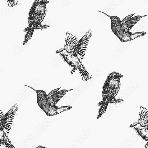 Hummingbird seamless pattern. Hand drawn exotic background.