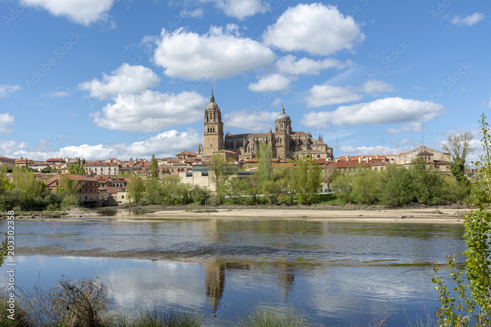 Catedrales de Salamanca desde la ribera del río Tormes en Salamanca