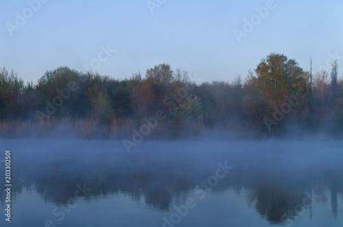 The pre-dawn mist on the surface of the lake with the reflection of plants from the other shore.