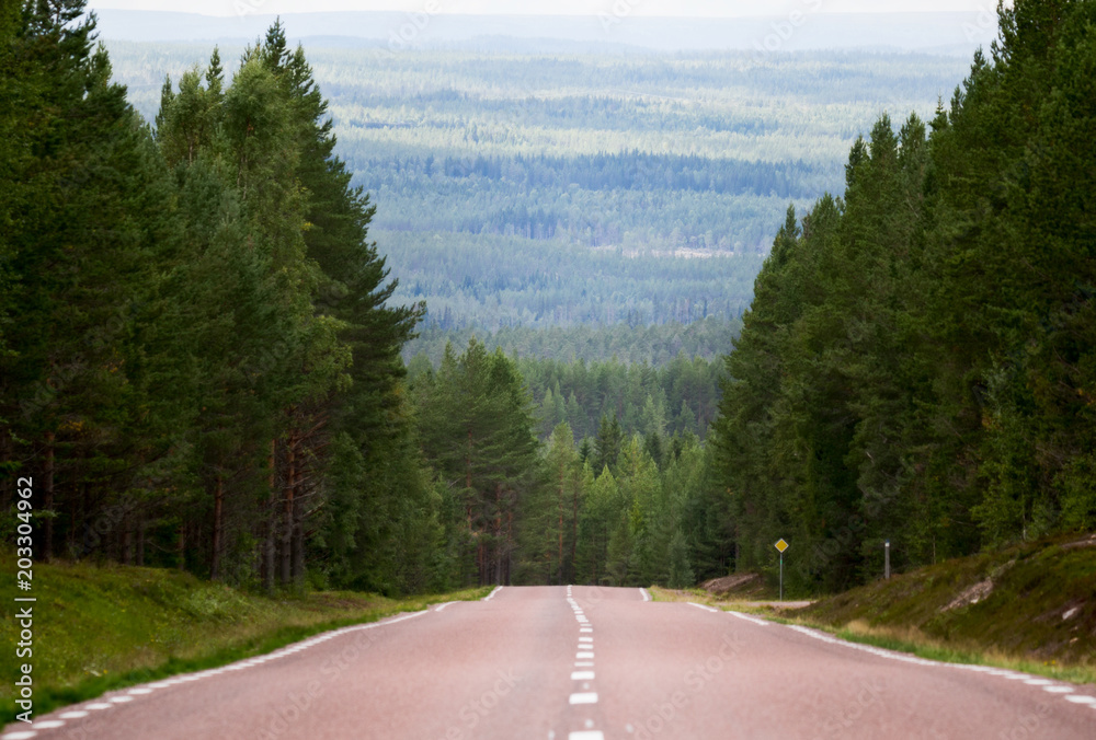 Fototapeta premium Road to the mountains