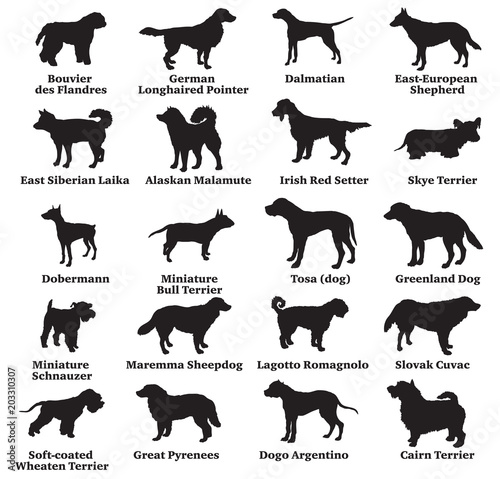 Set of dogs silhouettes-8