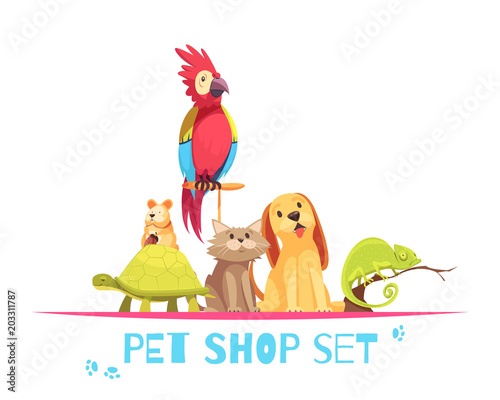 Pet Shop Composition