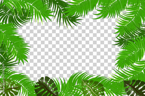 Fototapeta Naklejka Na Ścianę i Meble -  Web summer jungle frame banner. Green palm leaves template isolated transparent background. Vector abstract illustration. Realistic picture summer tropical Paradise mock up.