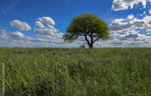 Colorful landscape, Pampas, Argentina