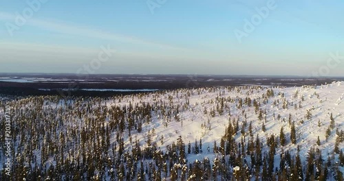 Finland nature, C4k aerial view over a fjeld tunturi revealing endless, arctic taiga wilderness of Pyha-luosto national park, on a sunny sunrise, winter morning dusk, in Lapland, Suomi photo