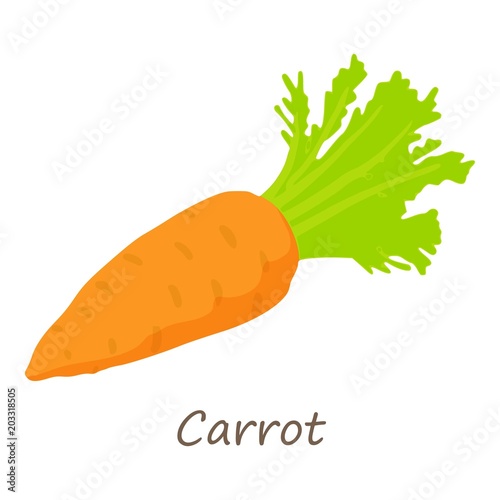 Carrot icon. Isometric of carrot vector icon for web design isolated on white background photo