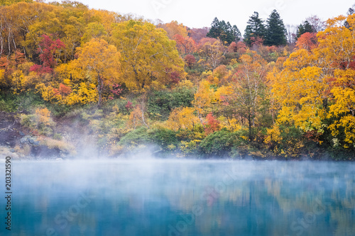Fototapeta Naklejka Na Ścianę i Meble -  Jigokunuma Pond crater lake at Aomori in Autumn season