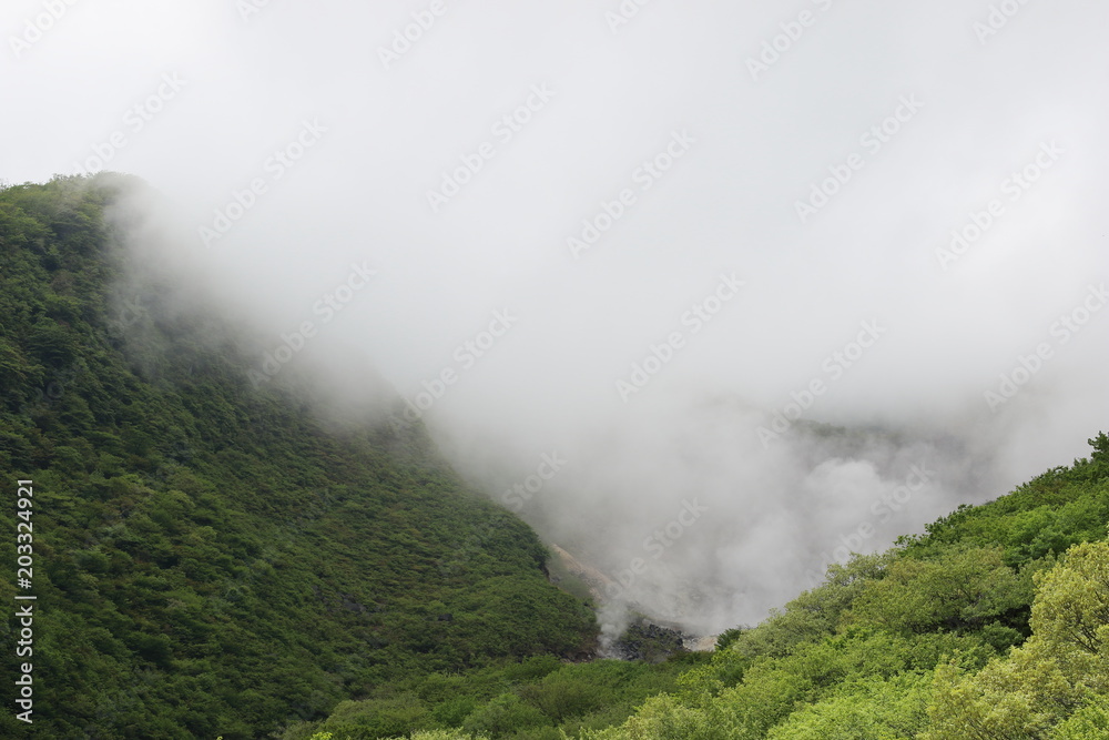 新緑の風景