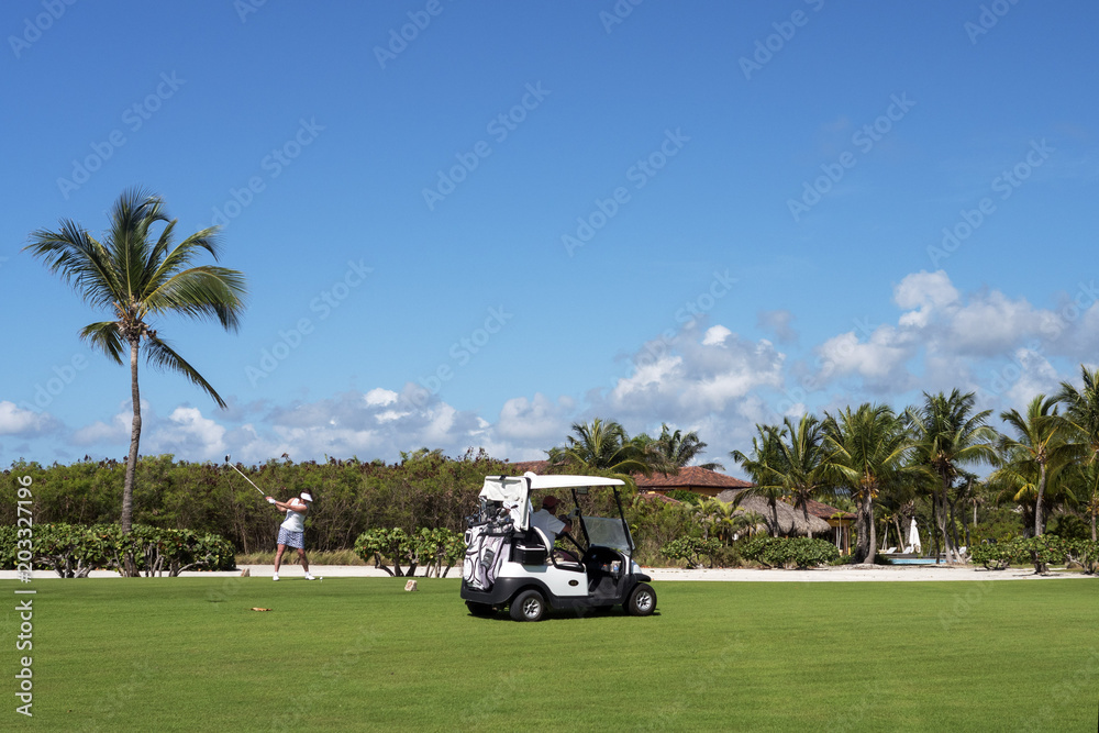 Golfcars on the golf course, game, recreation and sports