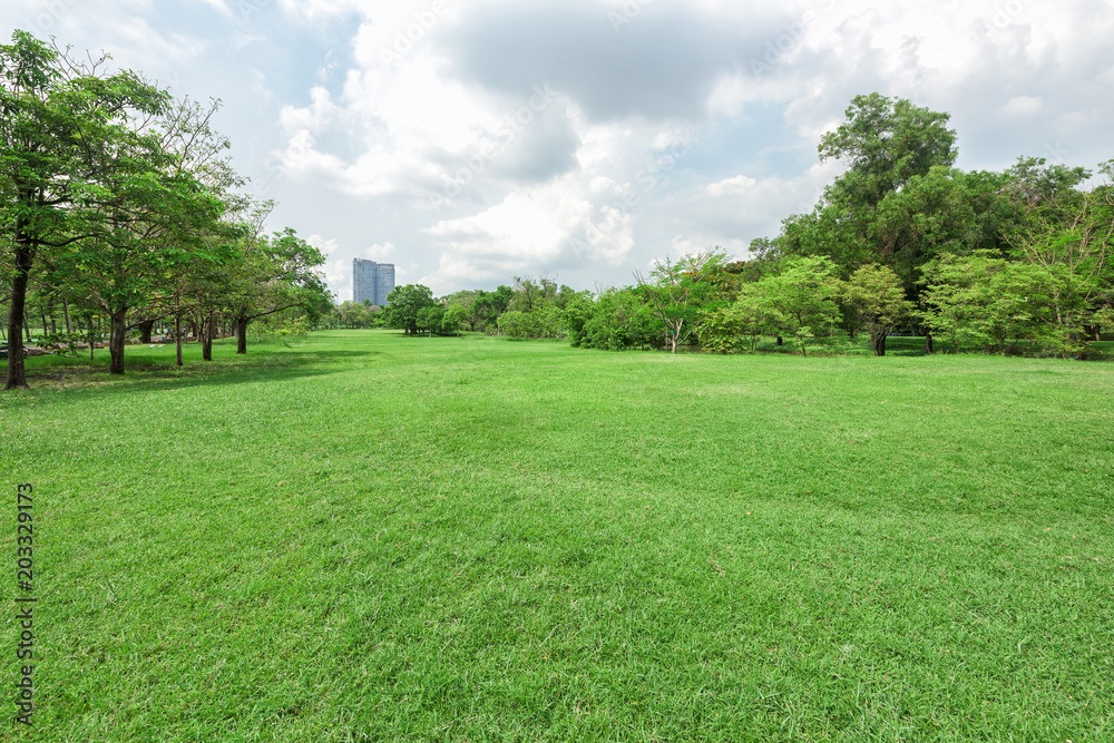 Green grass field in park at city center Green grass field in park at city center