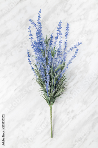 Blooming lavender on marble background