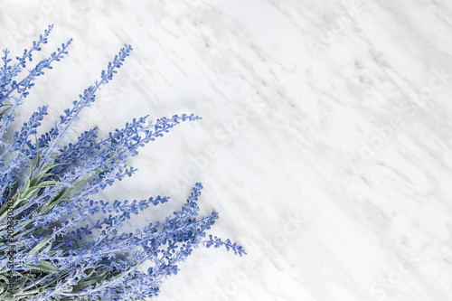 Blooming lavender on marble background with copy space