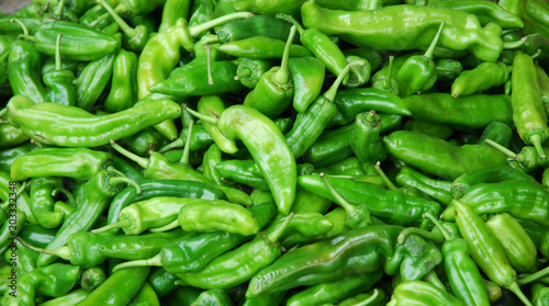 Fotografija Fresh green pepper pile in harvest season