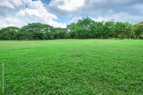 Beautiful landscape in park with green grass field.