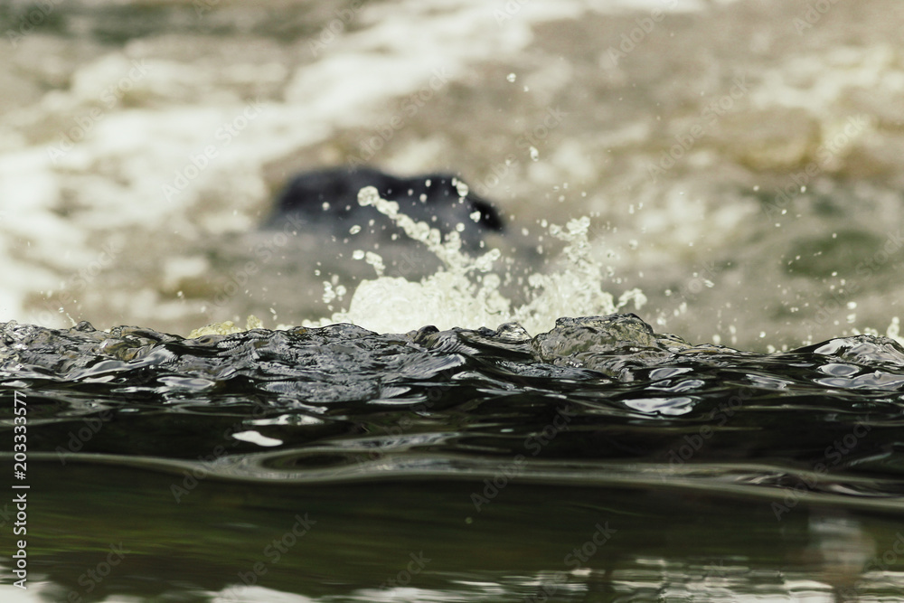 Obraz premium Splashing Water