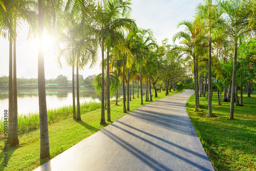 Trees and walkway on green grass field in the park at morning.