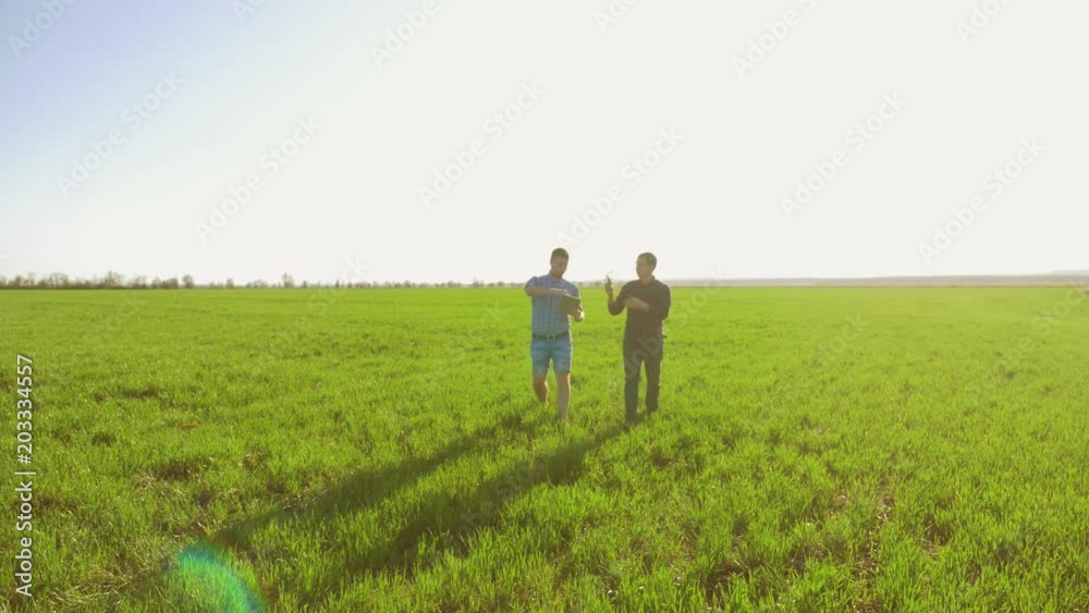 two farmers walking along the field of green grass. Farmers men standing in a wheat field . man is engaged in agriculture worker stands in a field lifestyle with green grass two farmers walking along the field of green grass. Farmers men standing in a wheat field . man is engaged in agriculture worker stands in a field lifestyle with green grass