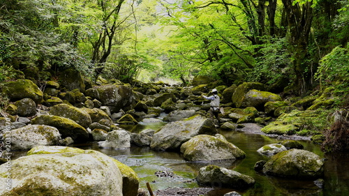 Tableau sur toile 九州熊本の阿蘇山　阿蘇山の伏流水が流れる出る渓谷の釣り、