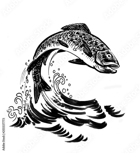 Photography Jumping salmon. Ink black and white drawing