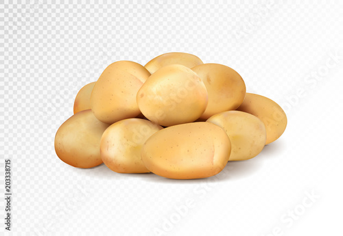 Realisic vector potatoes grope on transparent background.