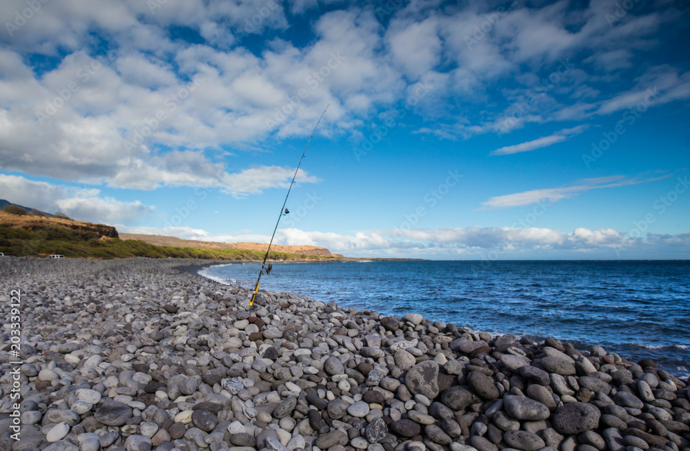 Fishing Pole Ready for use on a rocky coast of Maui Fishing Pole Ready for use on a rocky coast of Maui