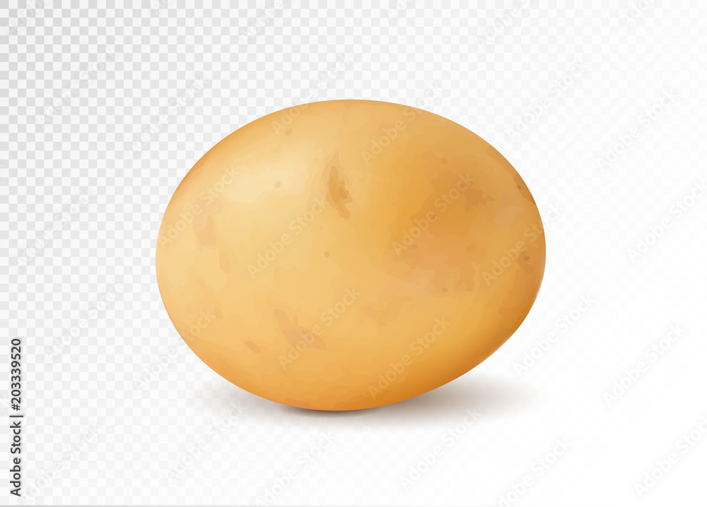 Realistic potato, 3d vector illustration