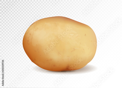 Realistic potato, 3d vector illustration