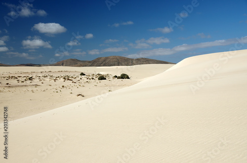 Desert of Fuerteventura in area Corallejo