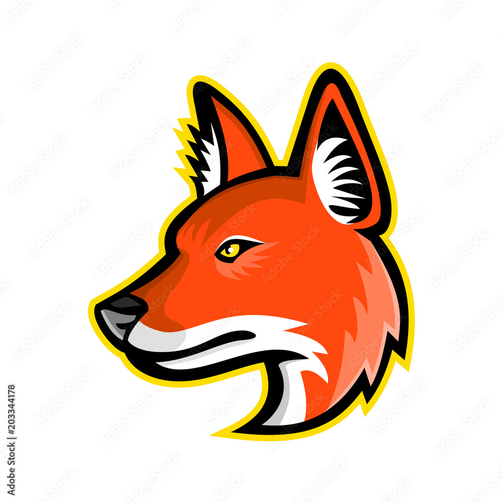 Dhole or Asiatic Wild Dog Mascot Dhole or Asiatic Wild Dog Mascot