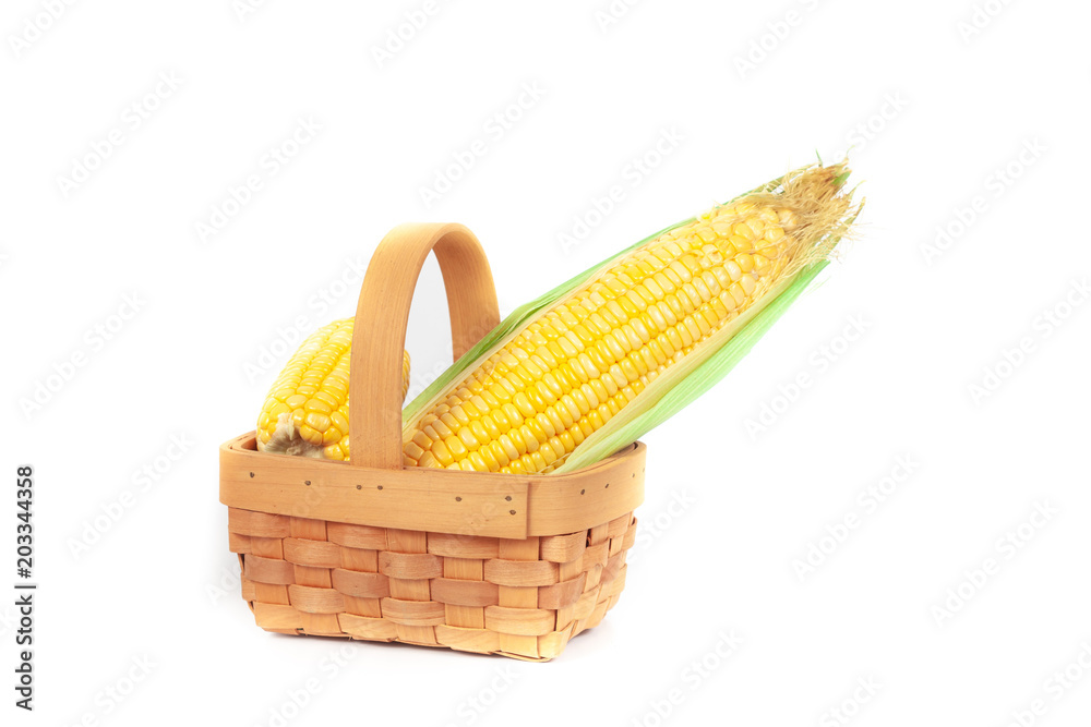 Fresh Corncobs or corn ears isolated on white background