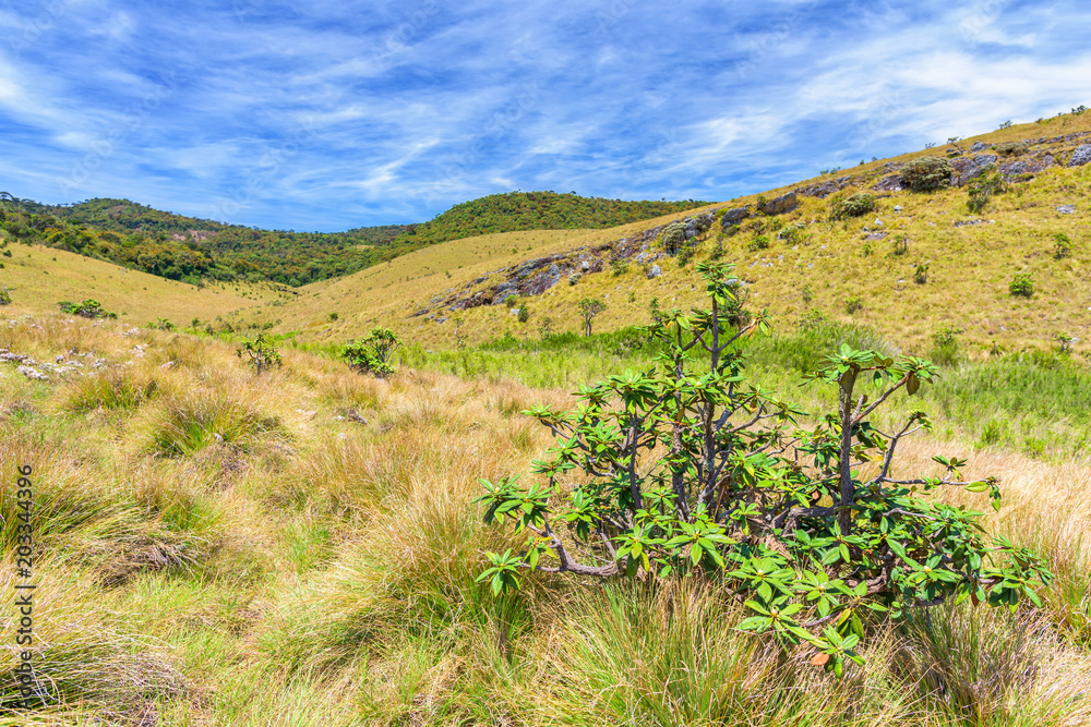 Beautiful landscape meadow from World's End within the Horton Plains National Park in Sri Lanka.