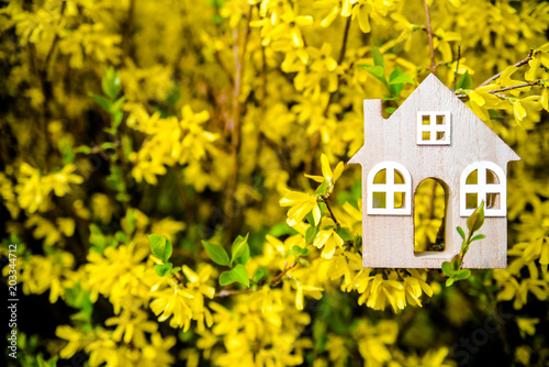 The symbol of the house among the branches of the Forsythia 