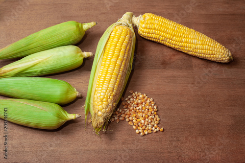 Organic fresh Corncobs or corn ears on wood background ,food