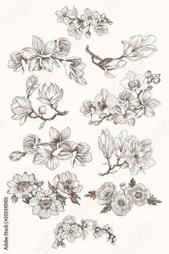 Great collection of highly detailed hand drawn flowers isolated on white background. Magnolia, poppy, plumeria, anemone, orchid. For invitation, logo, wedding, design. Vector