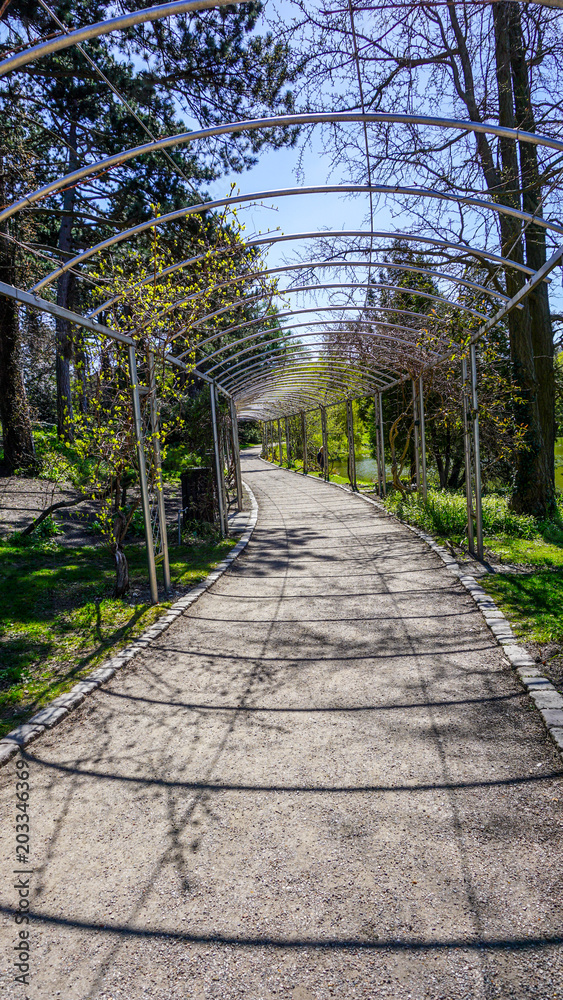 Framed walkway in Copenhagen botanical gardens, Denmark Framed walkway in Copenhagen botanical gardens, Denmark
