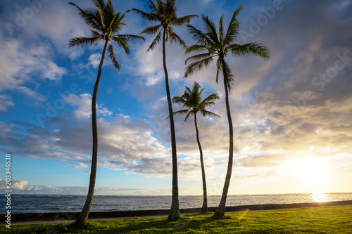 Hawaiian beach © Galyna Andrushko