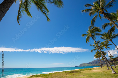 Hawaiian beach © Galyna Andrushko